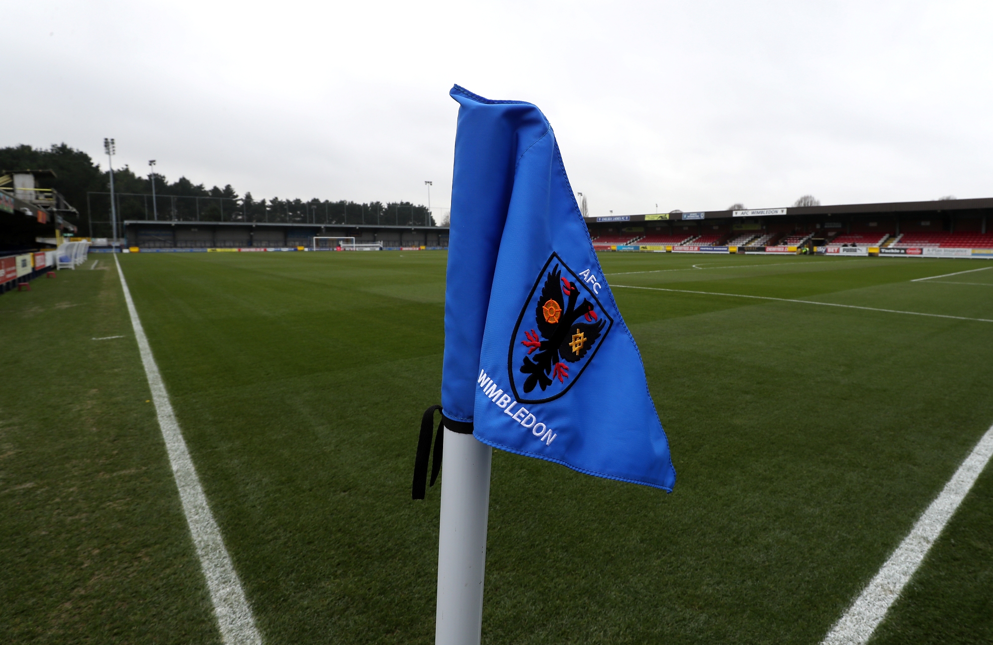 AFC Wimbledon Set For Plough Lane Return fcbusiness